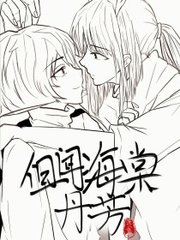 红桃影视官网入口
